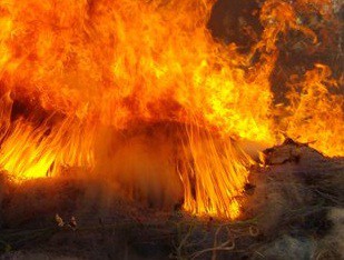 தடைசெய்யப்பட்ட தங்கூசி வலை எரித்த; மண்டைதீவு மீனவர்கள்